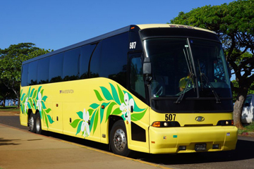 TPT-Motorcoach